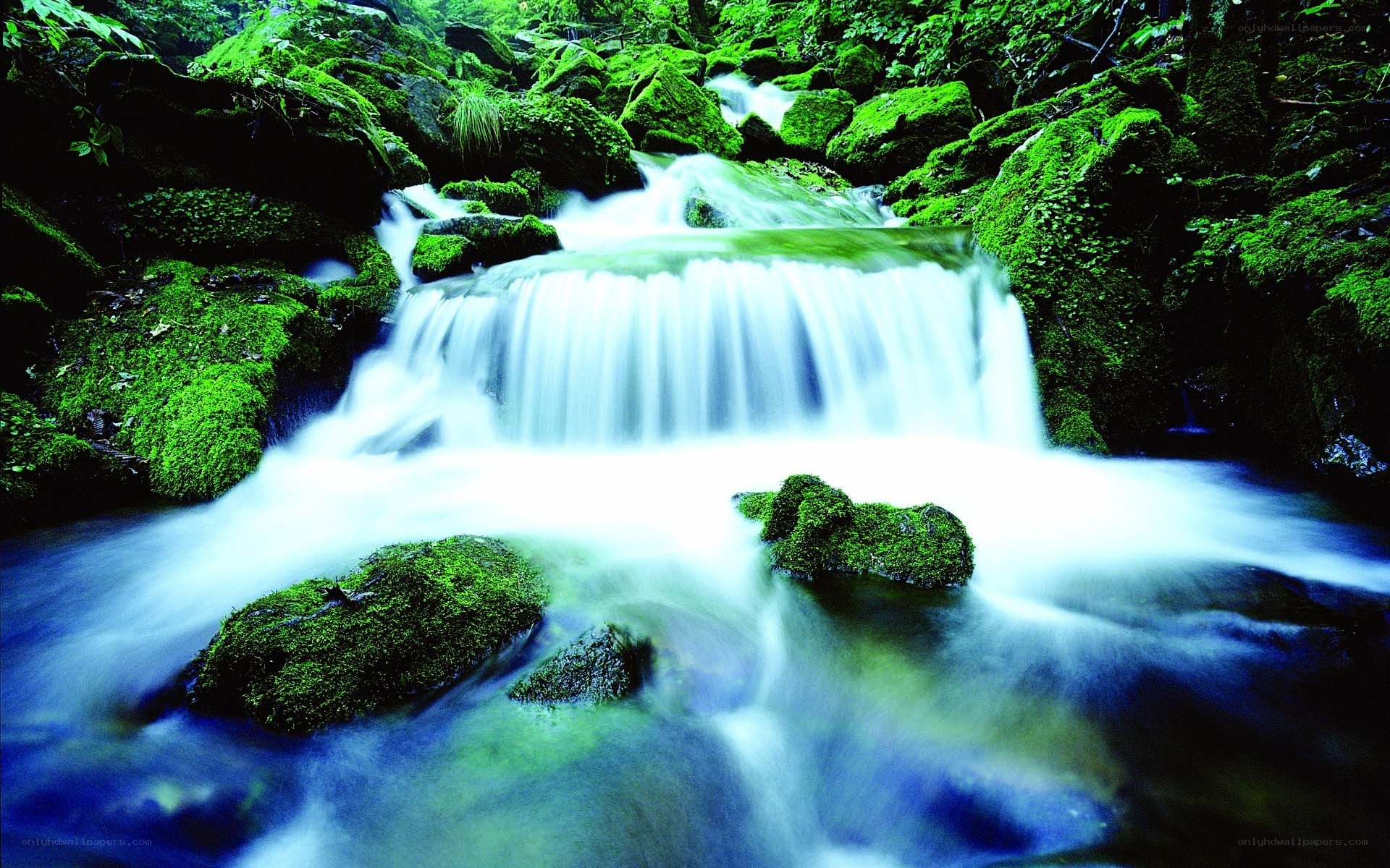 Mossy waterfall in forest