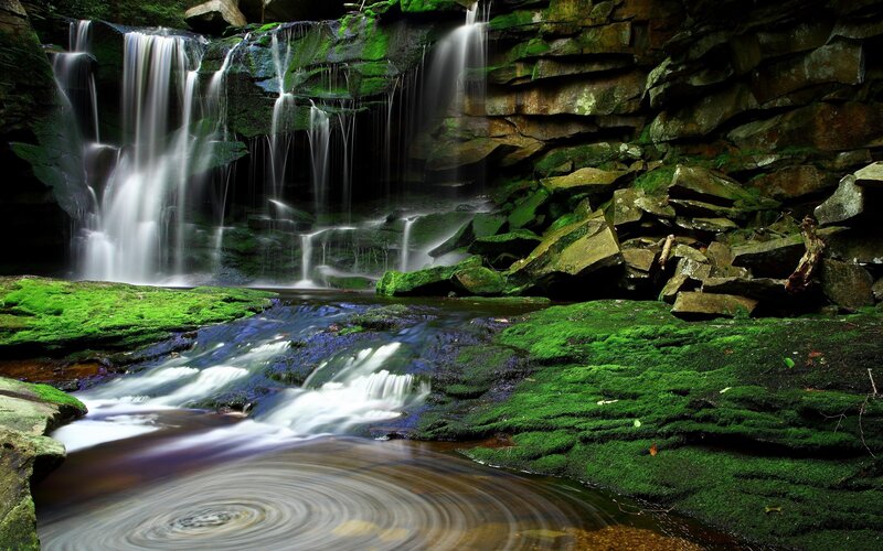 Mossy waterfall in forest