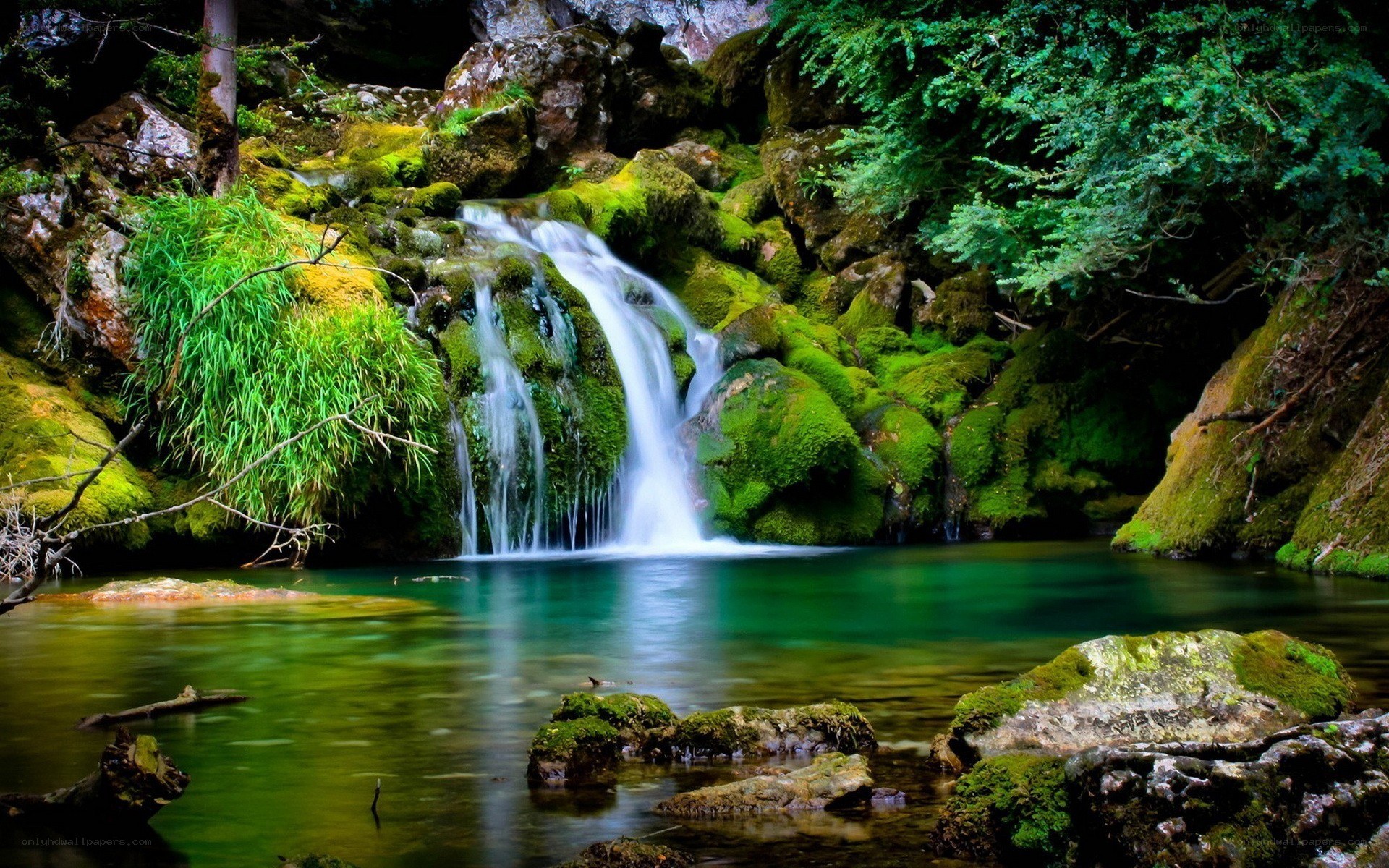 Mossy waterfall in forest