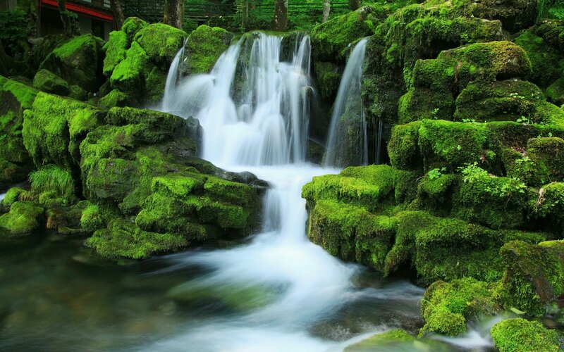 Mossy waterfall in forest