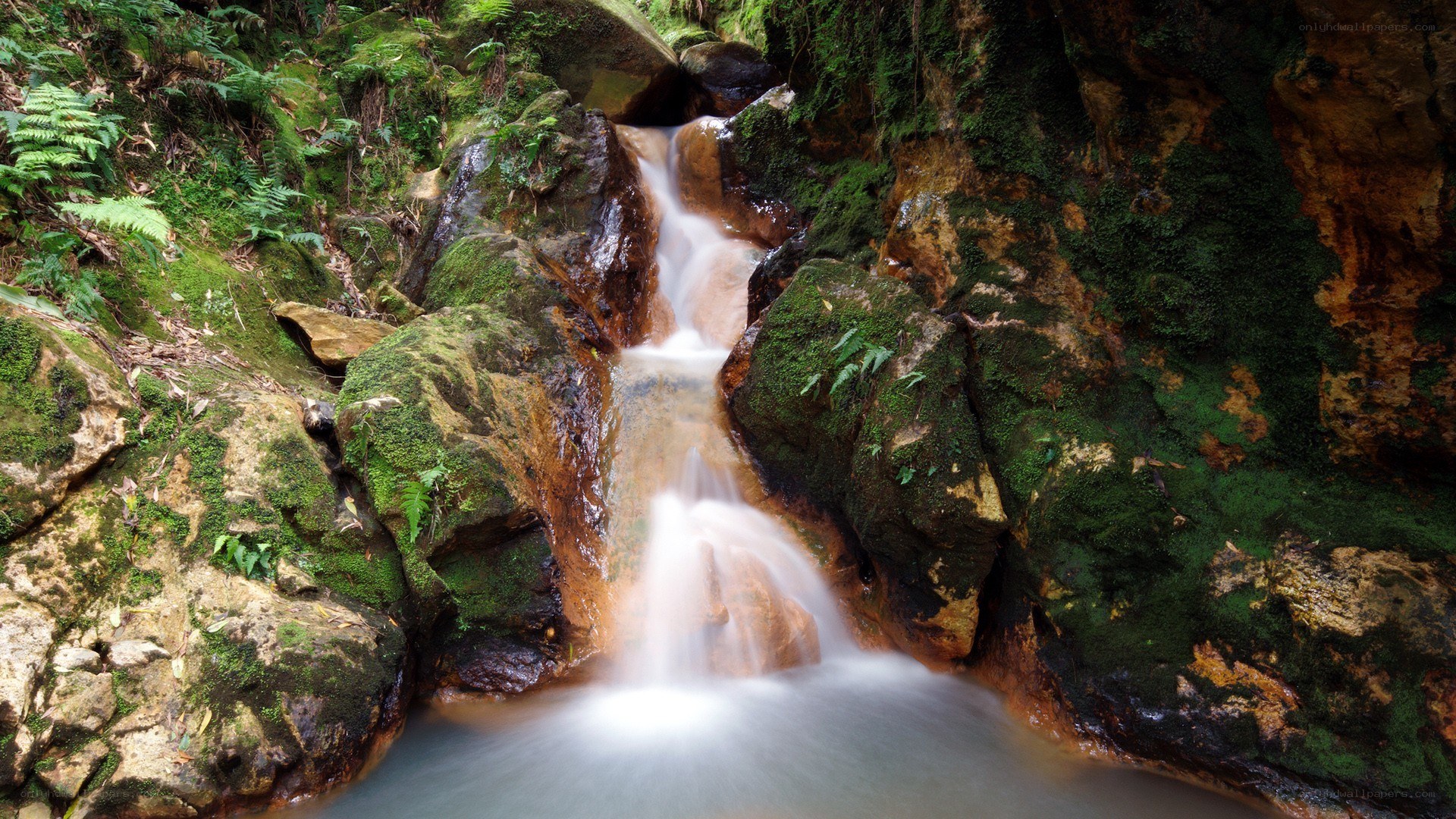 Mossy waterfall in forest