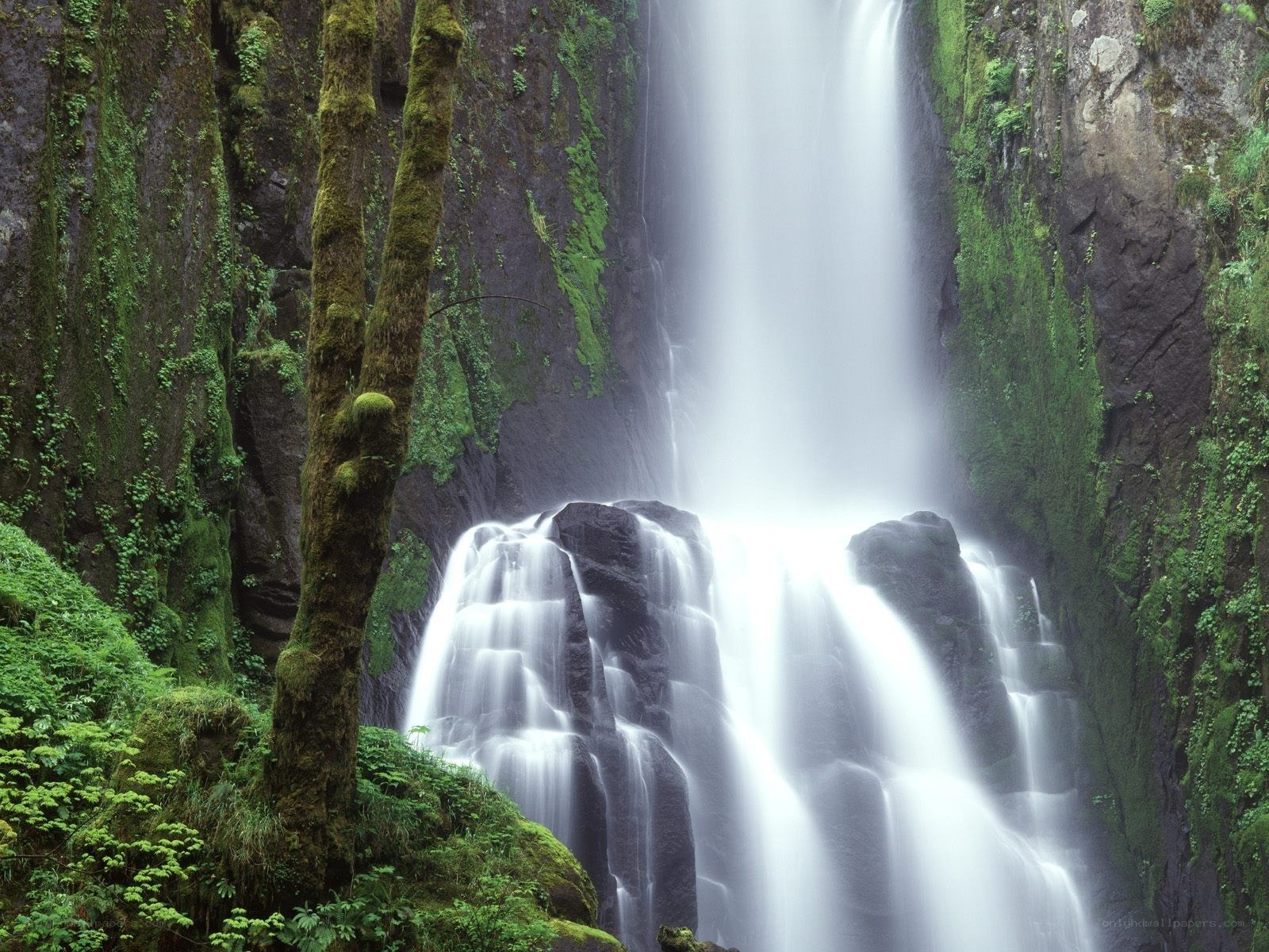 Mossy waterfall in forest