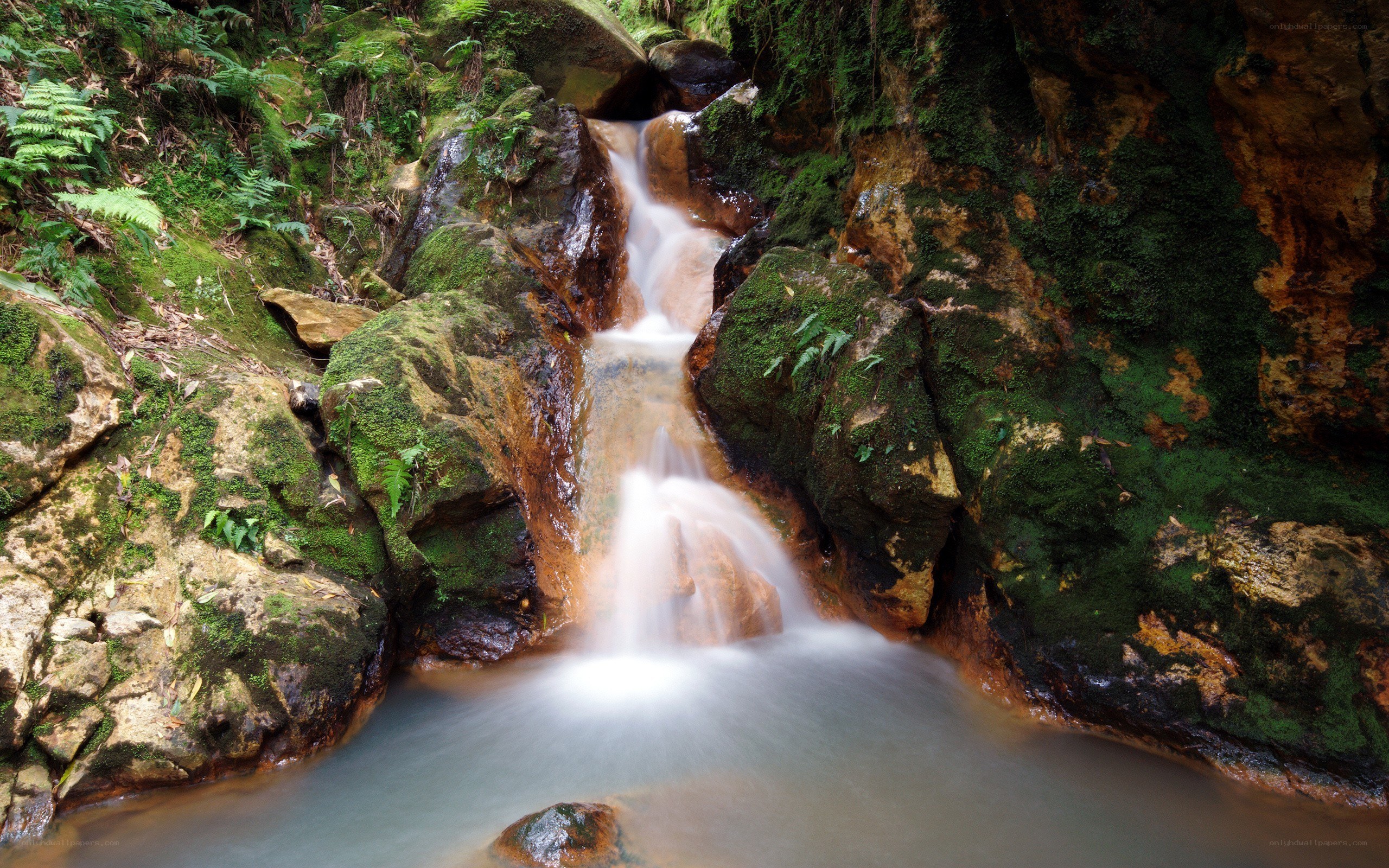 Mossy waterfall in forest