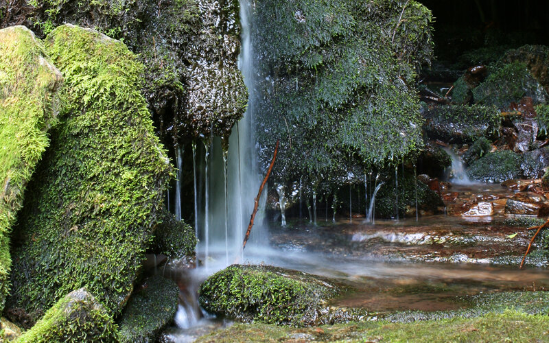 Mossy waterfall in forest