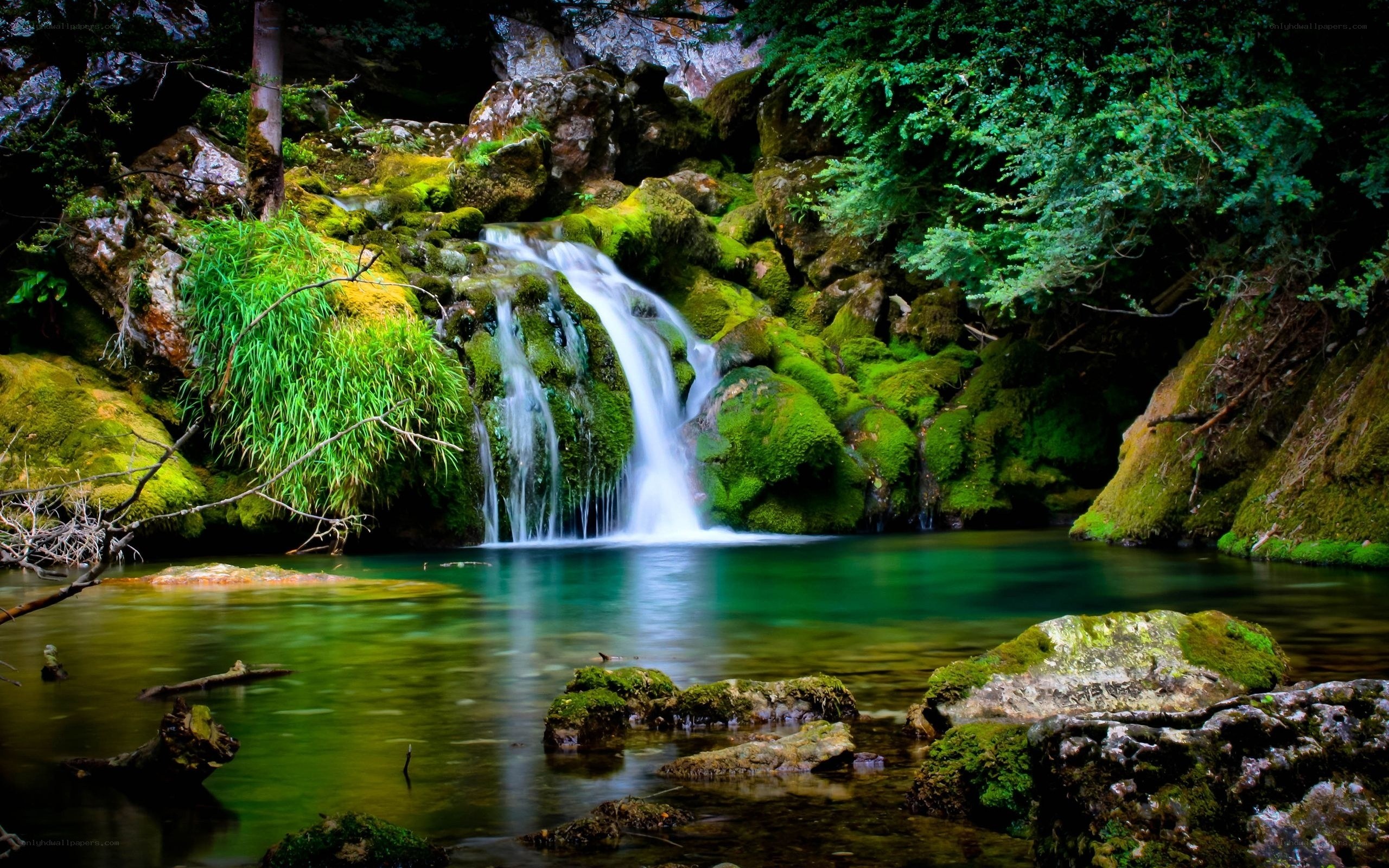 Mossy waterfall in forest