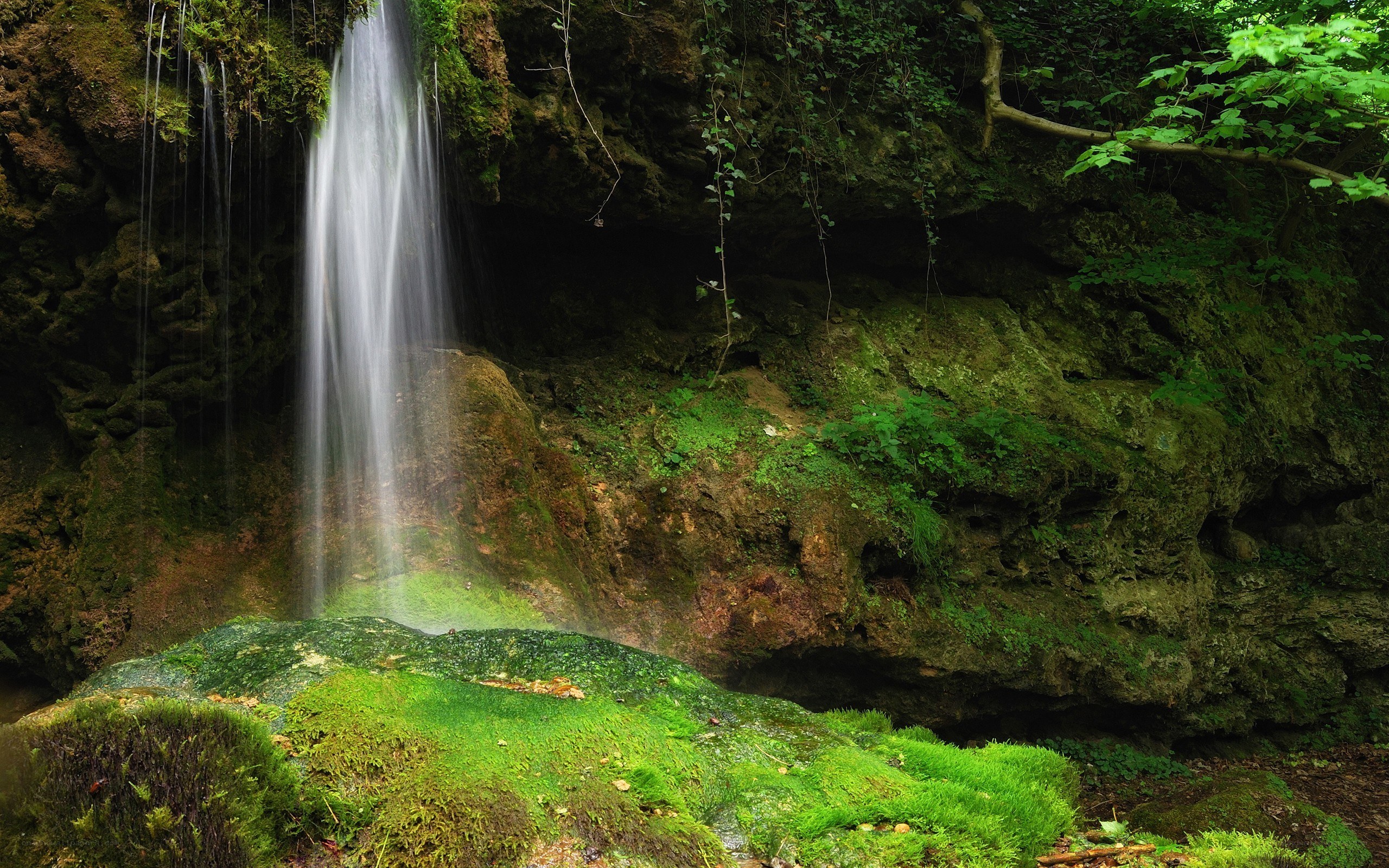 Mossy waterfall in forest