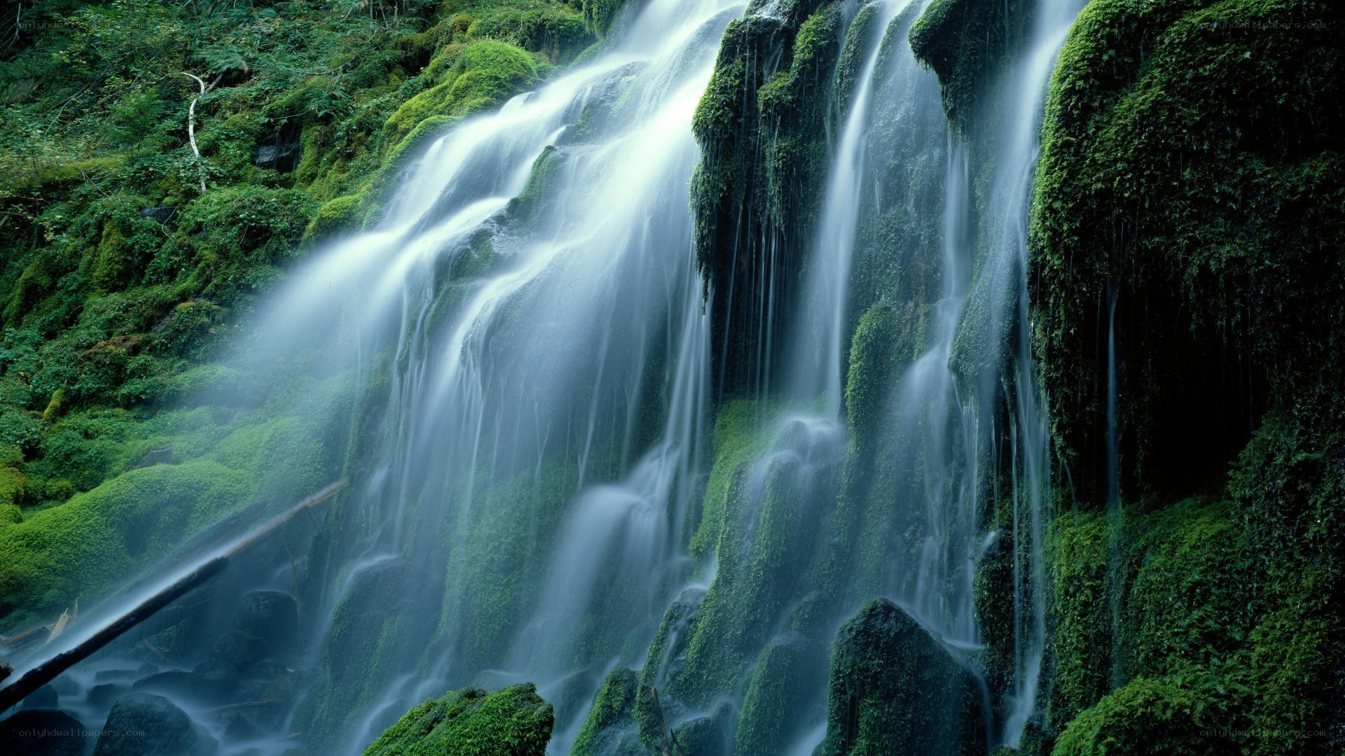 Mossy waterfall in forest