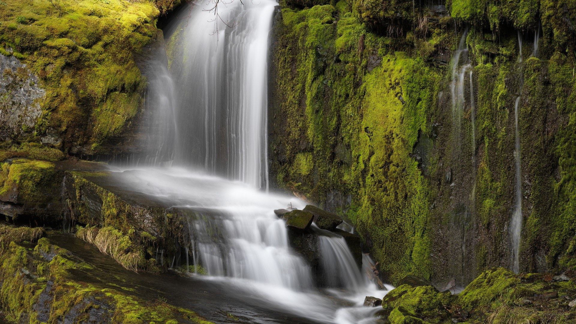 Mossy waterfall in forest