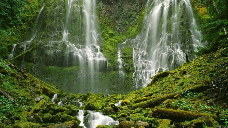 Mossy waterfall in forest
