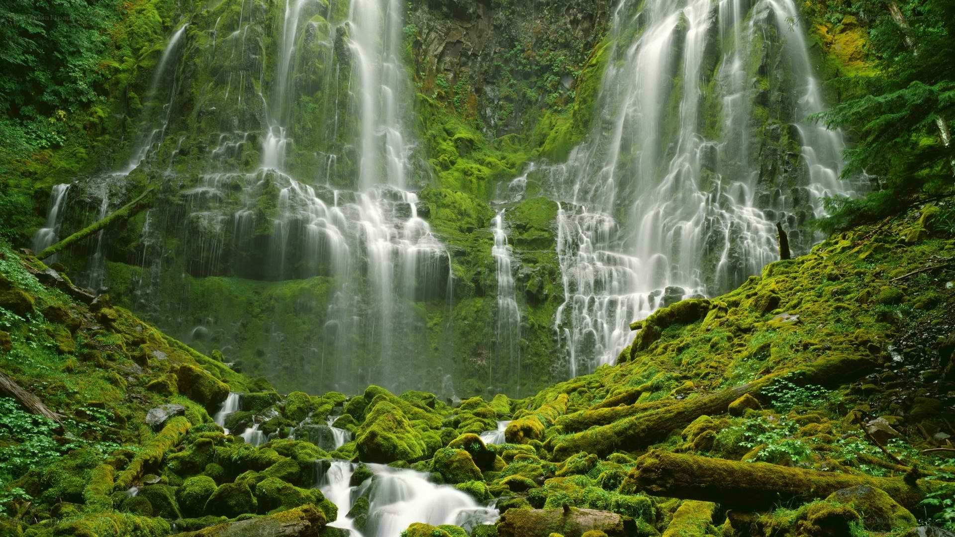 Mossy waterfall in forest