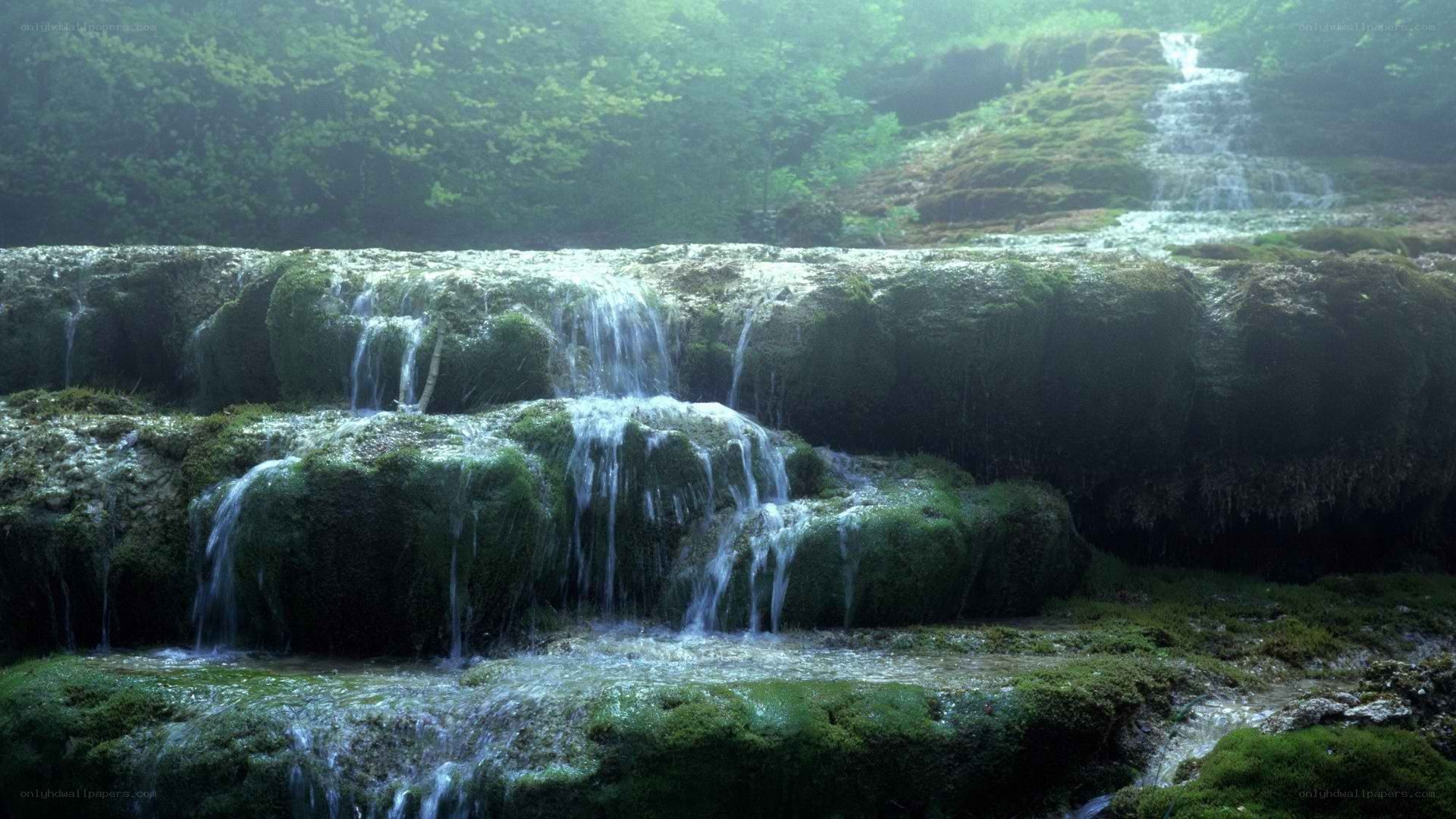 Mossy waterfall in forest