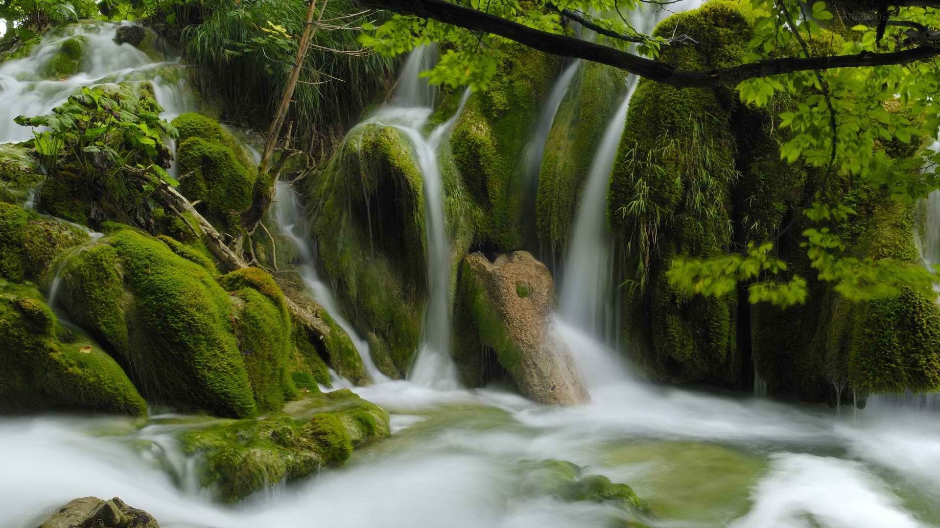 Mossy waterfall in forest