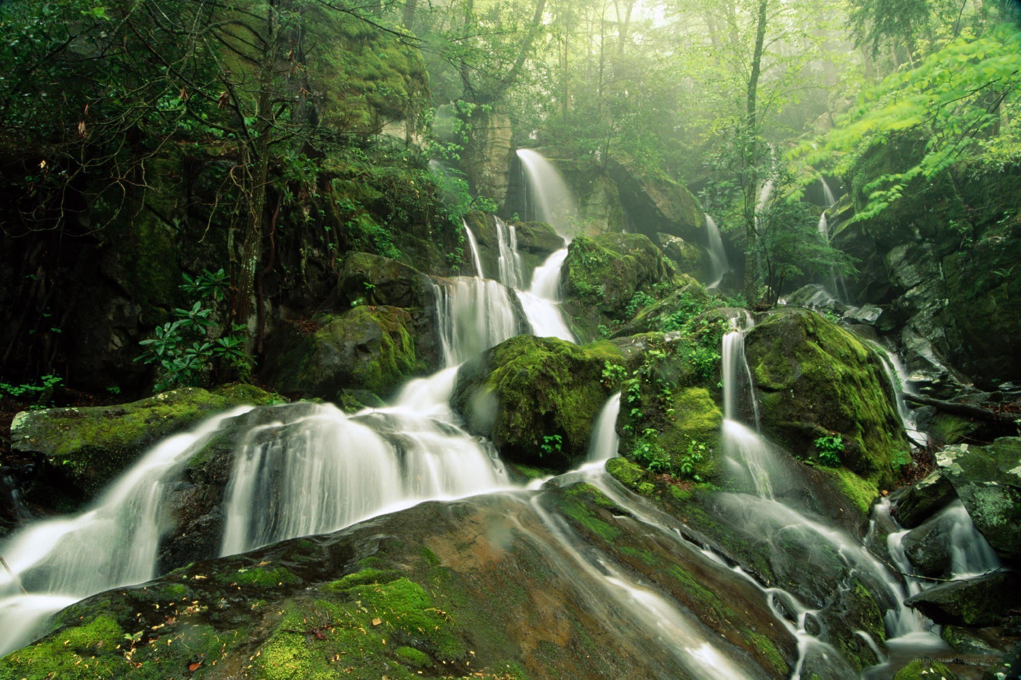 Mossy waterfall in forest