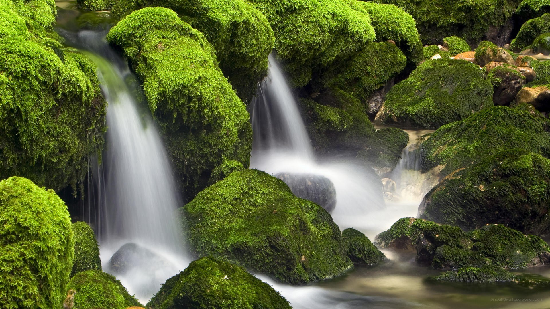 Mossy waterfall in forest