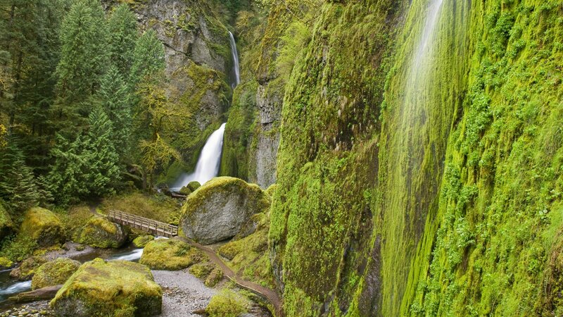 Mossy waterfall in forest