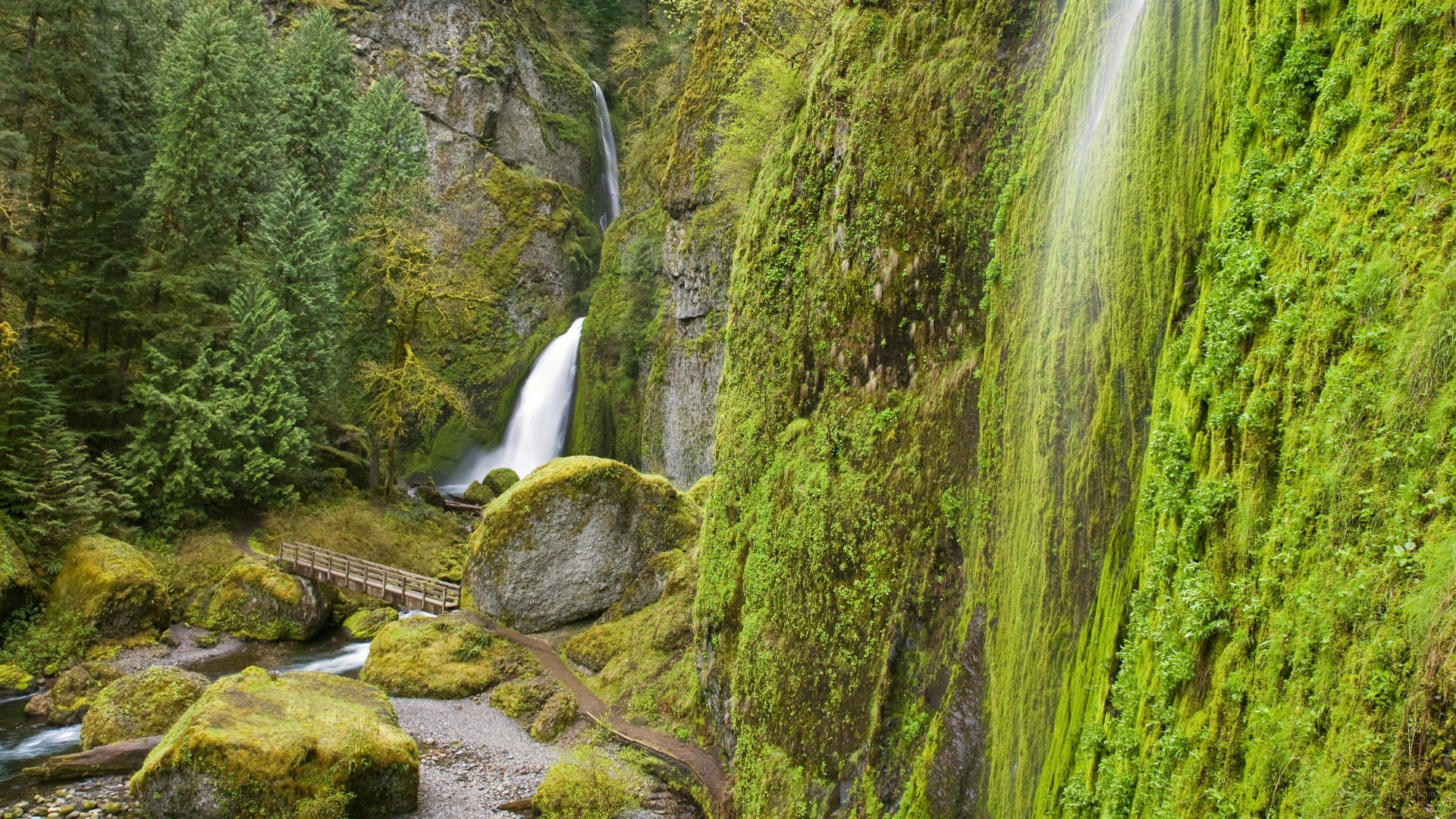 Mossy waterfall in forest