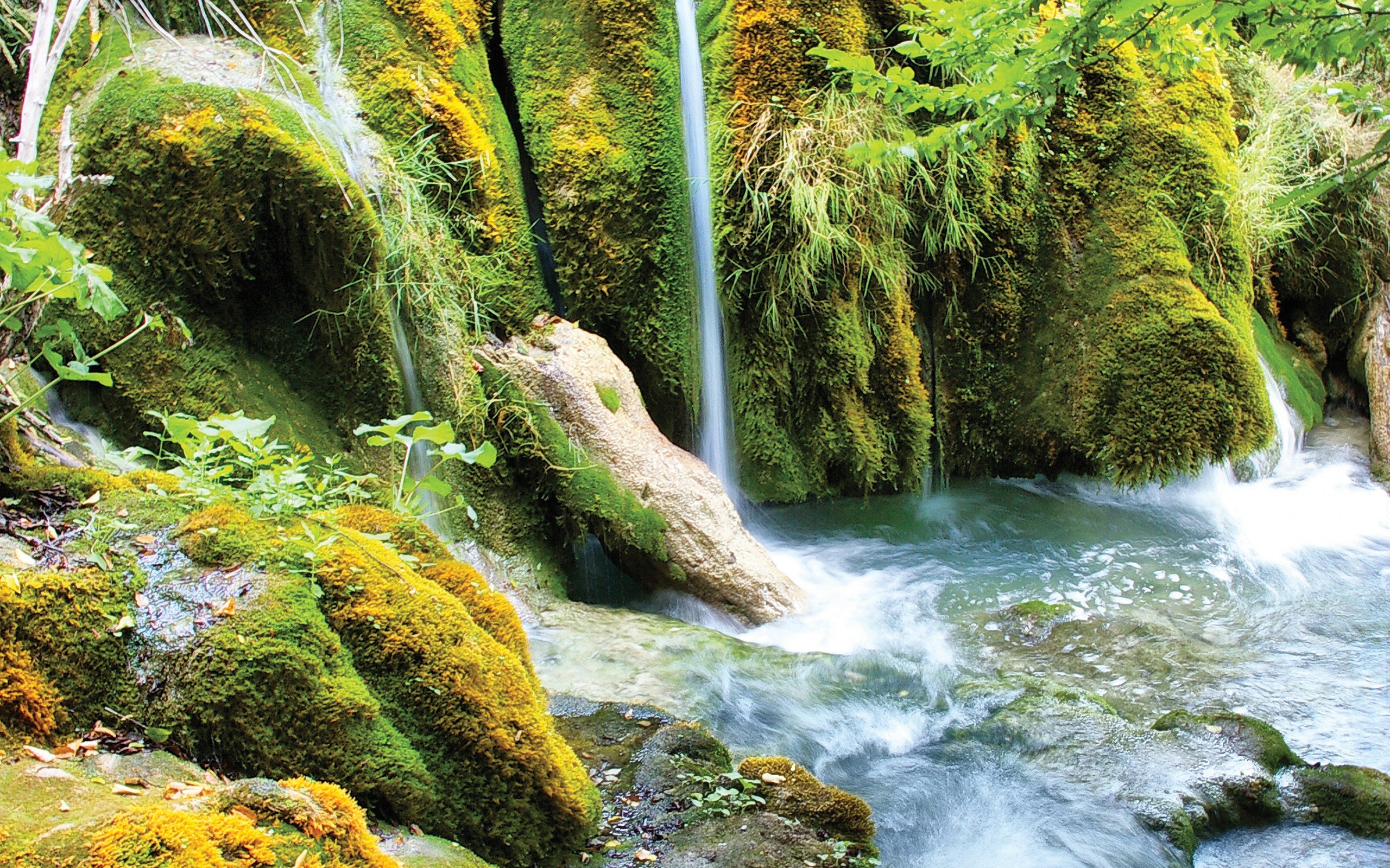 Mossy waterfall in forest