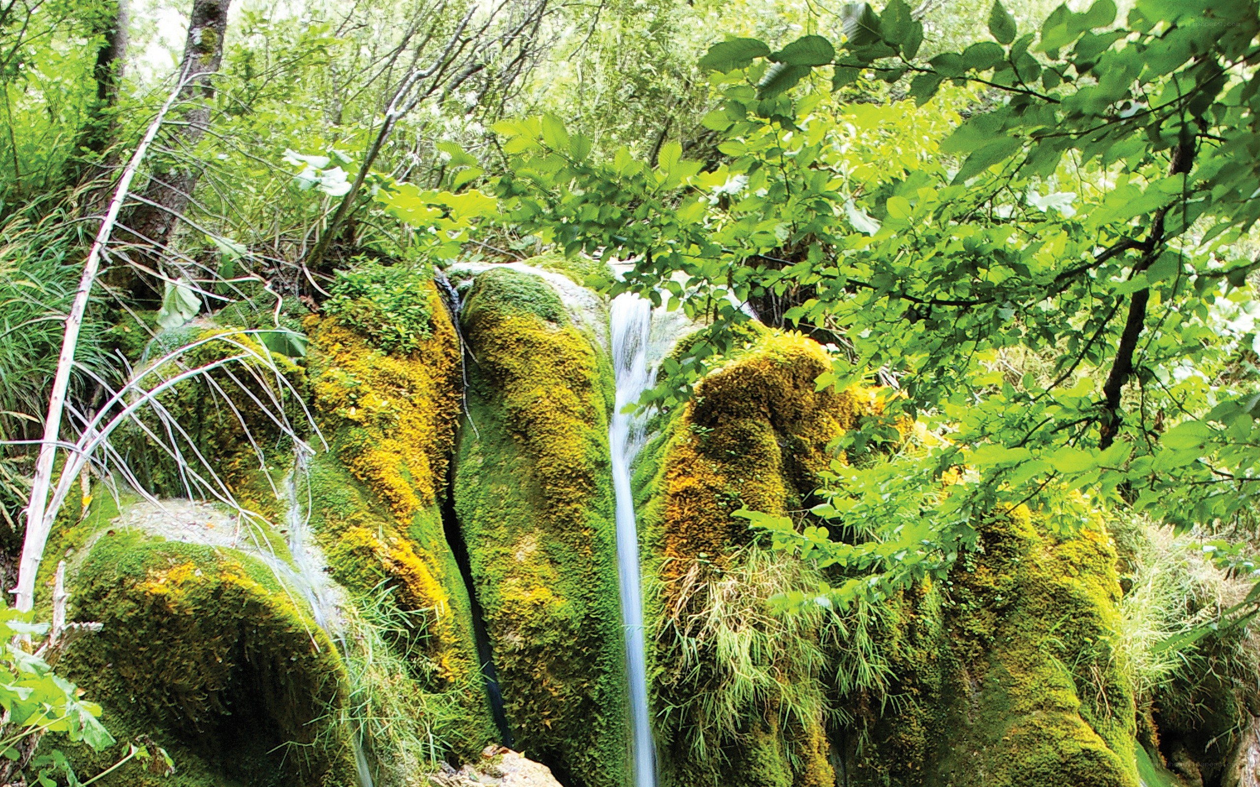 Mossy waterfall in forest
