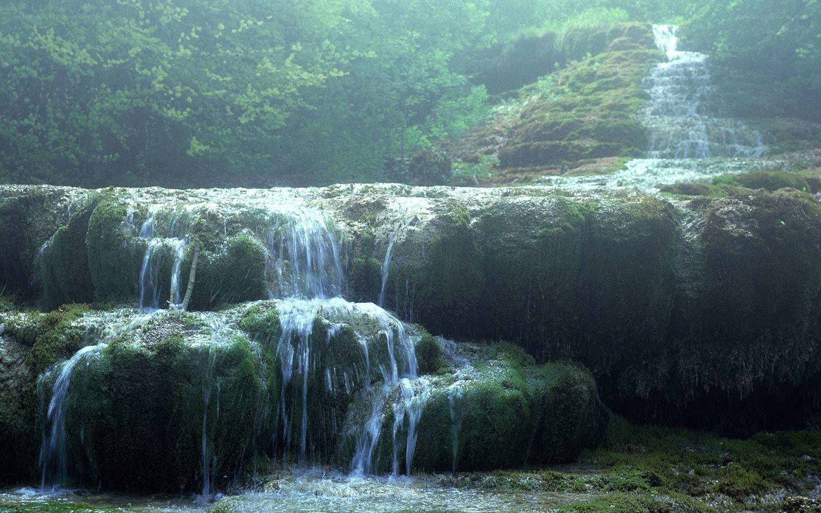 Mossy waterfall in forest