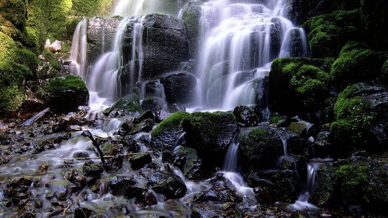 Mossy waterfall in forest