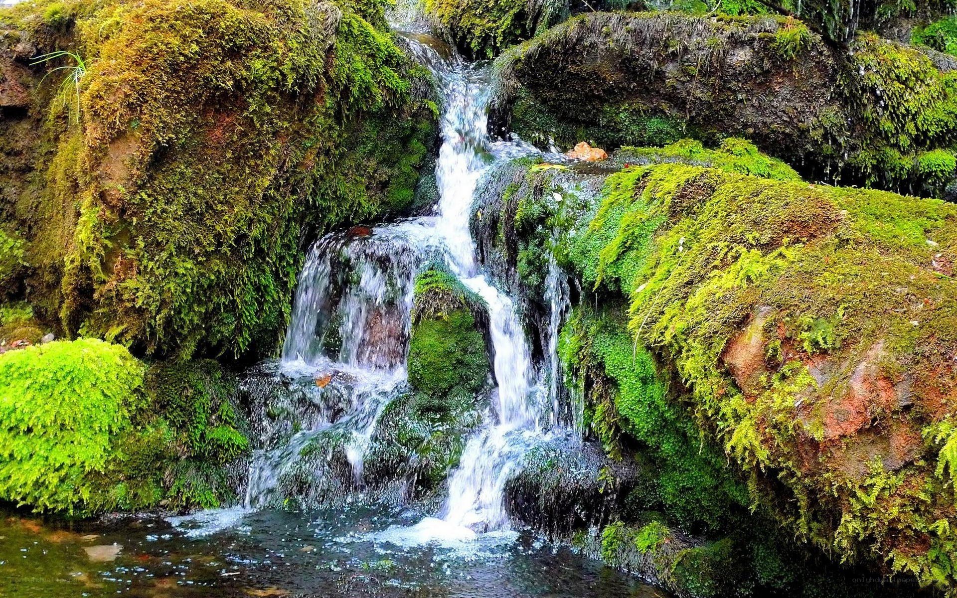 Mossy waterfall in forest
