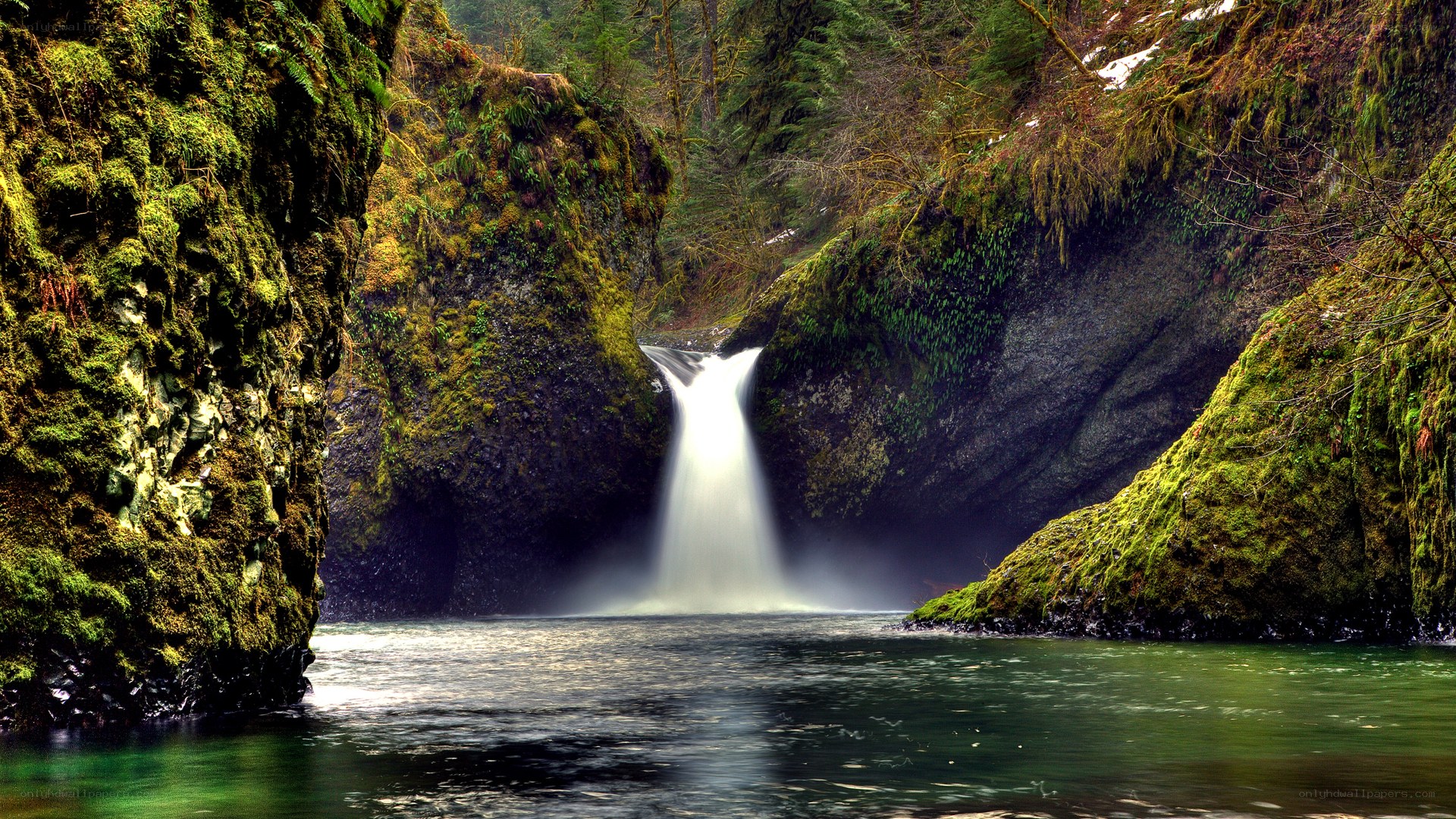 Mossy waterfall in forest canyon