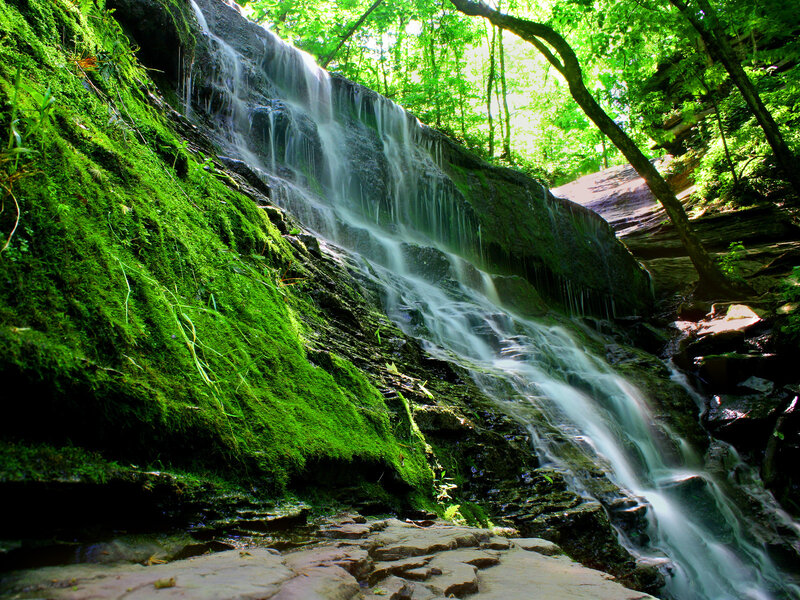 Mossy Waterfall in Forest — Green, Serene, Afternoon, Photograph, Trees, Rocks, White