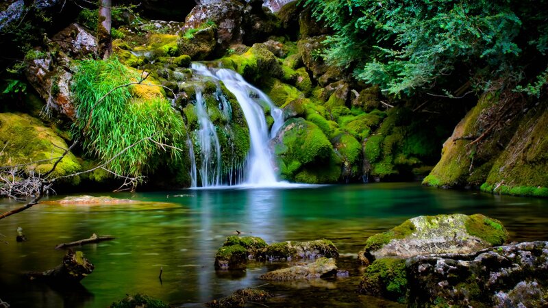 Mossy Waterfall in Forest — Green, Serene, Afternoon