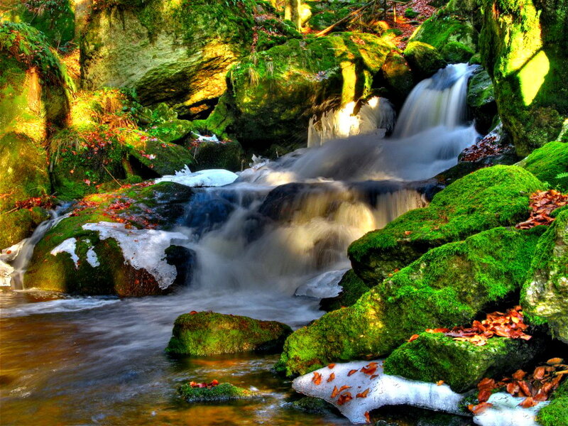 Mossy Waterfall in Forest — Green, Serene, Autumn
