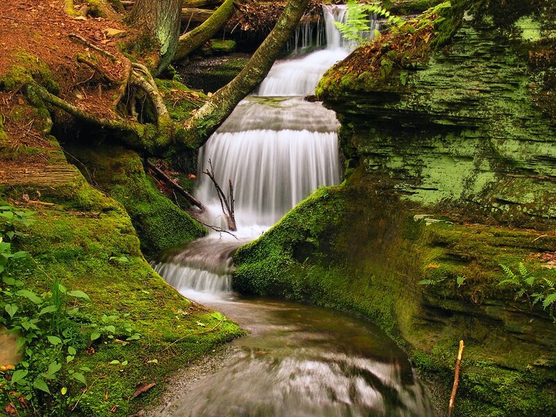 Mossy Waterfall in Forest — Green, Serene, Photograph, Moss
