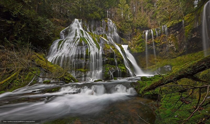 Mossy Waterfall in Forest — Green, Serene, Photograph, River, Moss