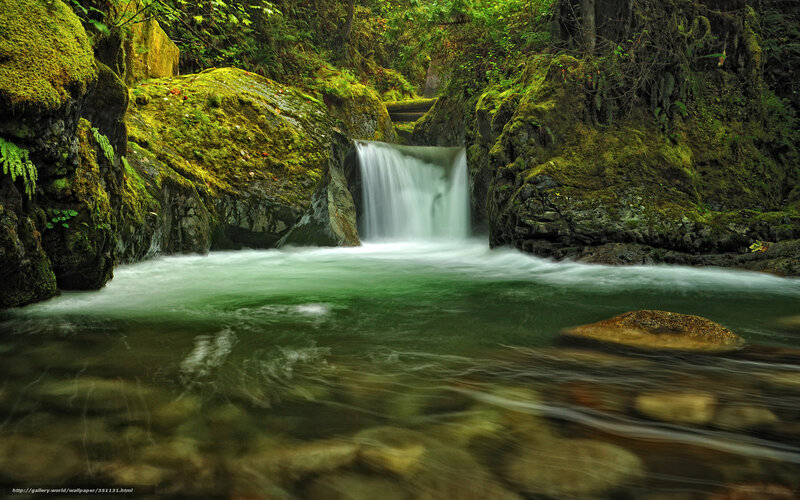 Mossy Waterfall in Forest — Green, Serene, Photograph, River