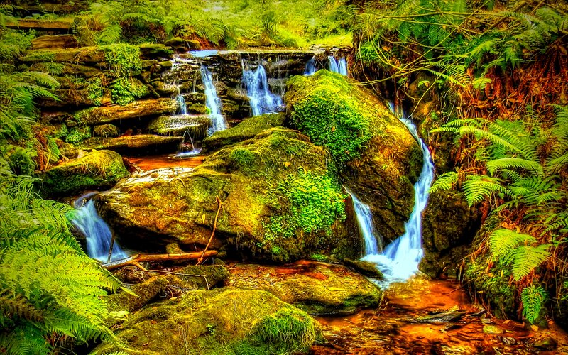 Mossy Waterfall in Forest — Green, Serene, Photograph, Rocks
