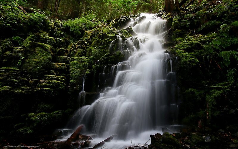 Mossy Waterfall in Forest — Green, Serene, Photograph, Rocks, Trees