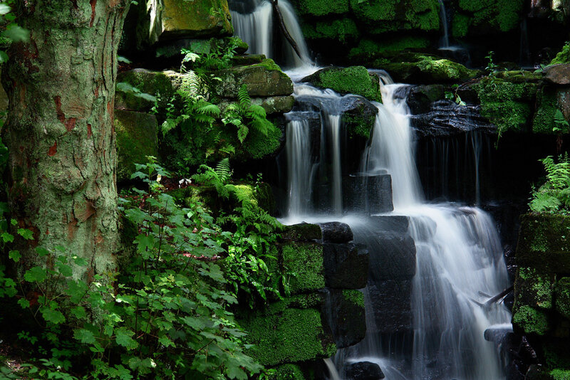 Mossy Waterfall in Forest — Green, Serene, Photograph