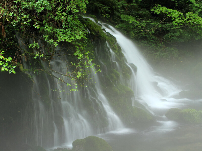 Mossy Waterfall in Forest — Green, Serene, Photograph, Trees, Moss