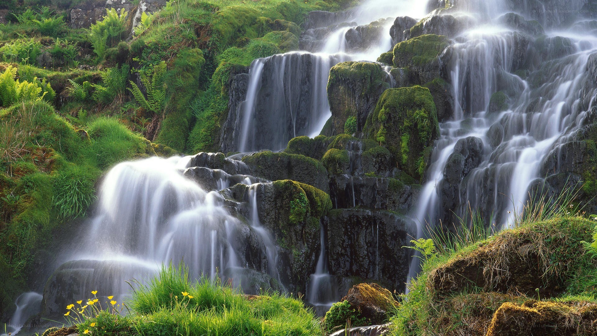 Mossy waterfall in green landscape