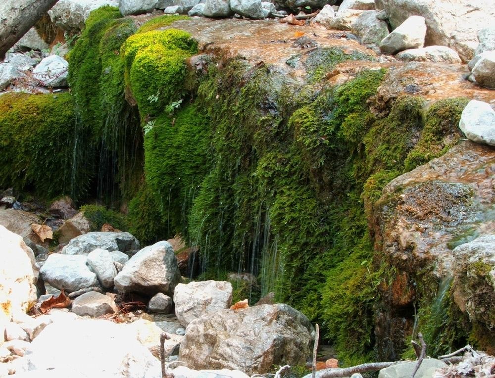 mossy waterfall on rocks