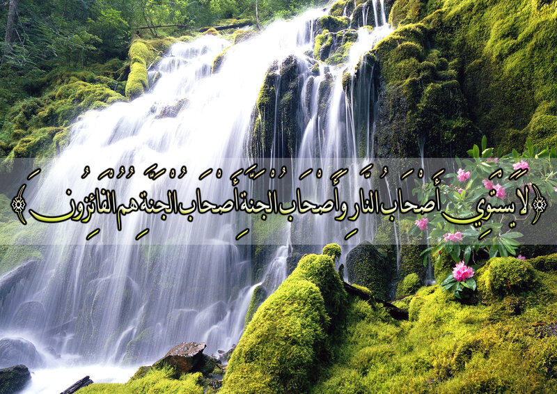 Mossy Waterfall