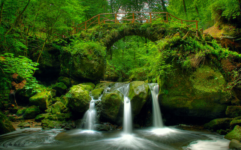Mossy Waterfall under Bridge — Green