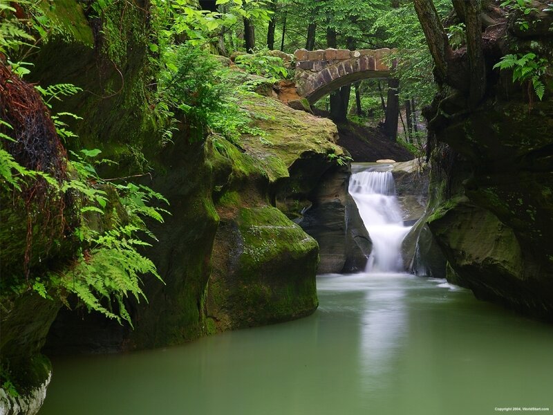 Mossy Waterfall under Bridge