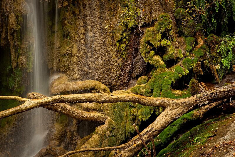 Mossy waterfall with fallen log