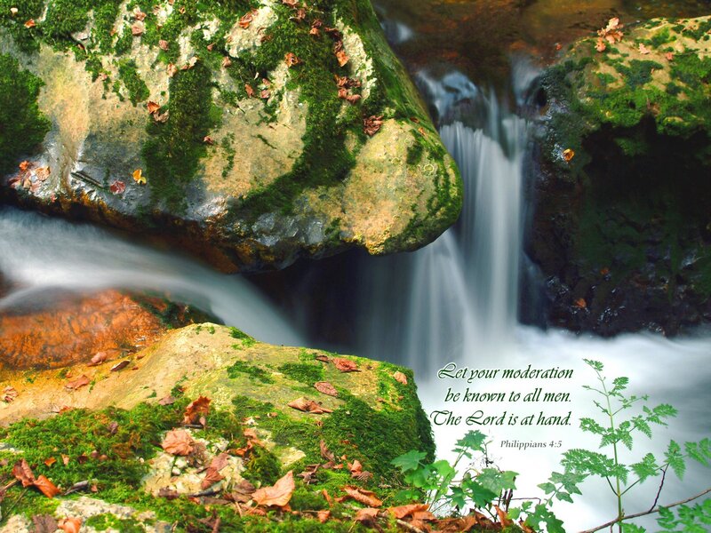 Mossy waterfall with scripture