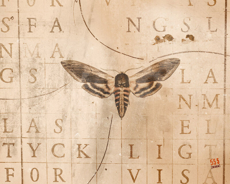 moth on vintage crossword puzzle