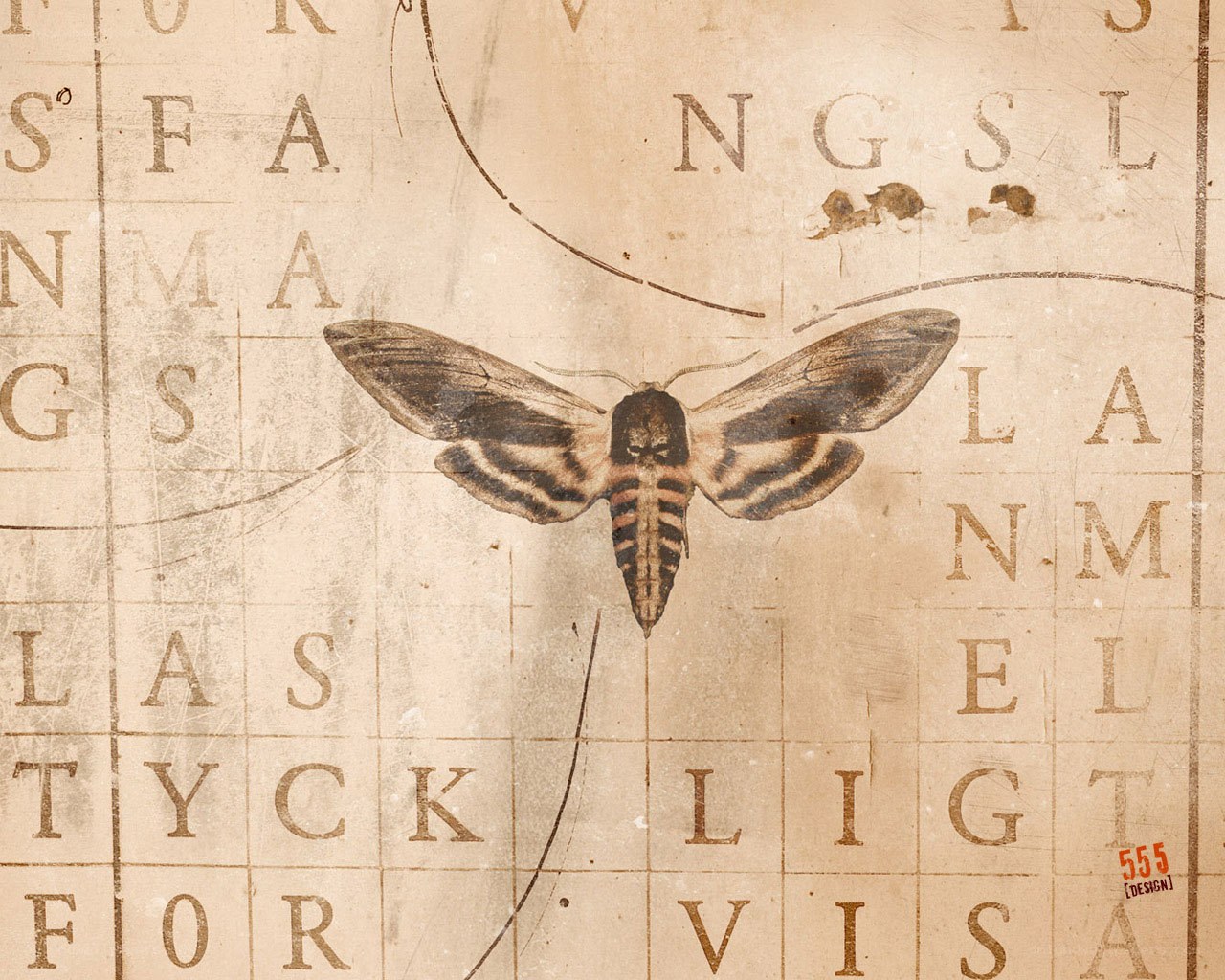 moth on vintage crossword puzzle
