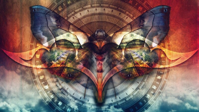 Moth with Landscape Wings
