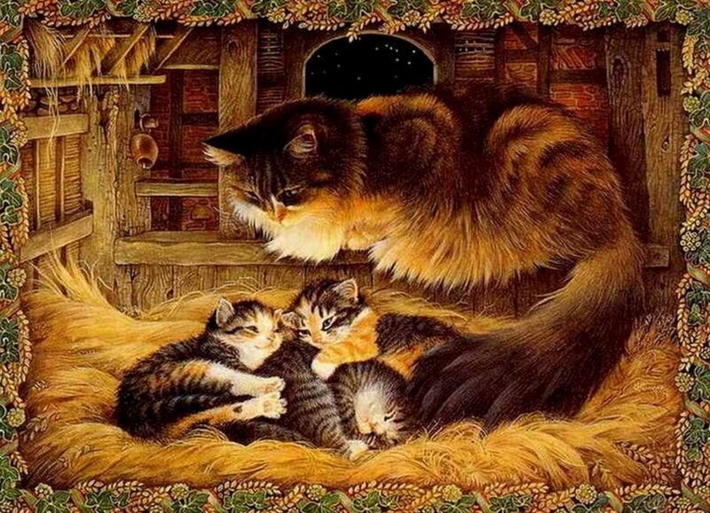 Mother Cat with Kittens — Brown, Calm