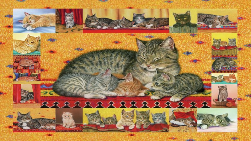 Mother Cat with Kittens — Orange, Serene