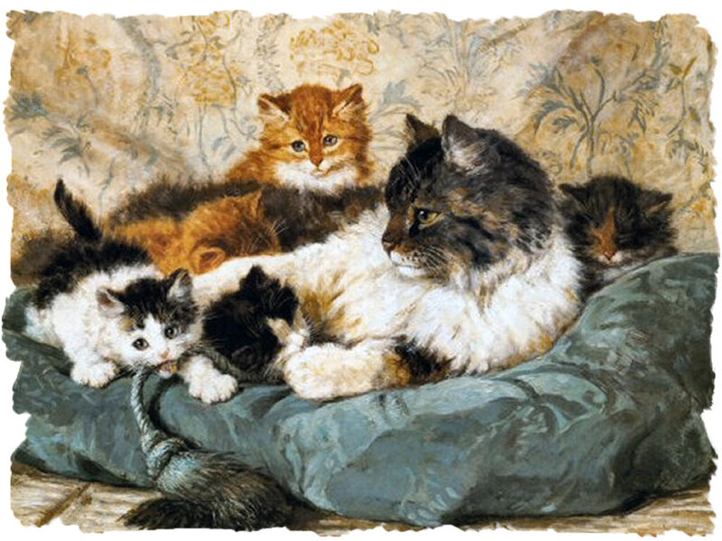 Mother Cat with Kittens — White, Calm
