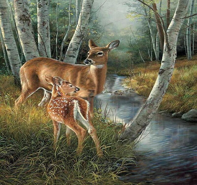 Mother Deer and Fawn